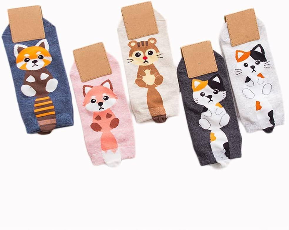 5 Pares Animales Mapache Gato Calcetines Corte Bajo Unisex